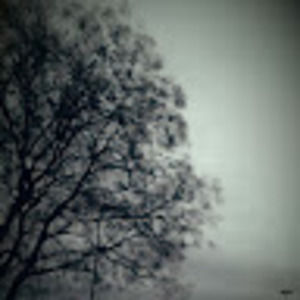 Meet your Posher, Kaya